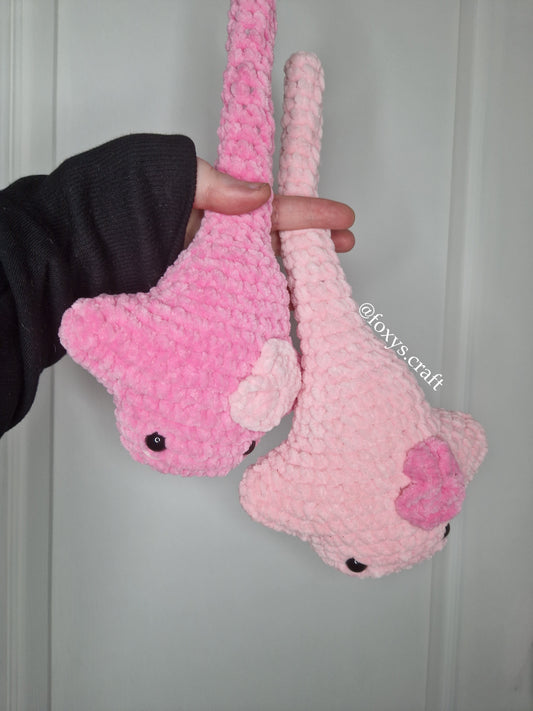 Crochet ray and its heart