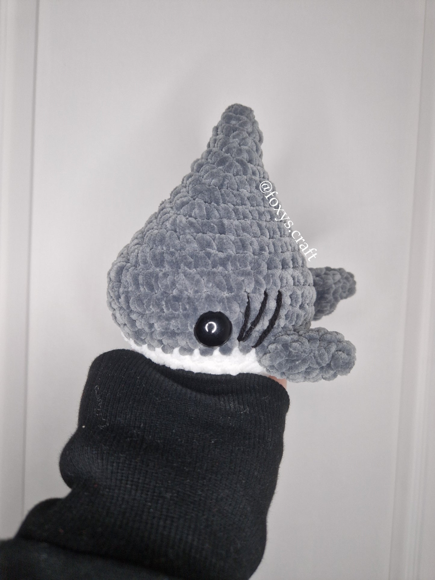 Bébé requin